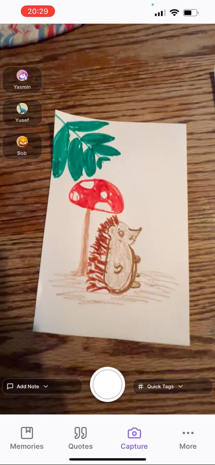 Start Capturing Artwork